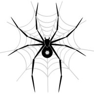 spiderr