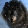 Primewolf